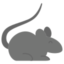 Mouse breeding core.